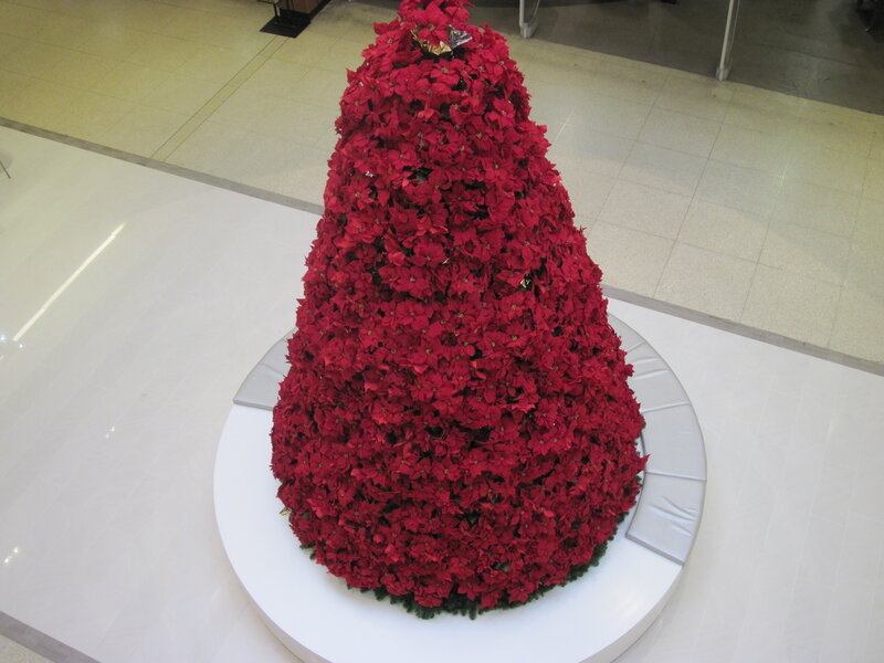 Red Poinsettia Christmas Tree — Festive