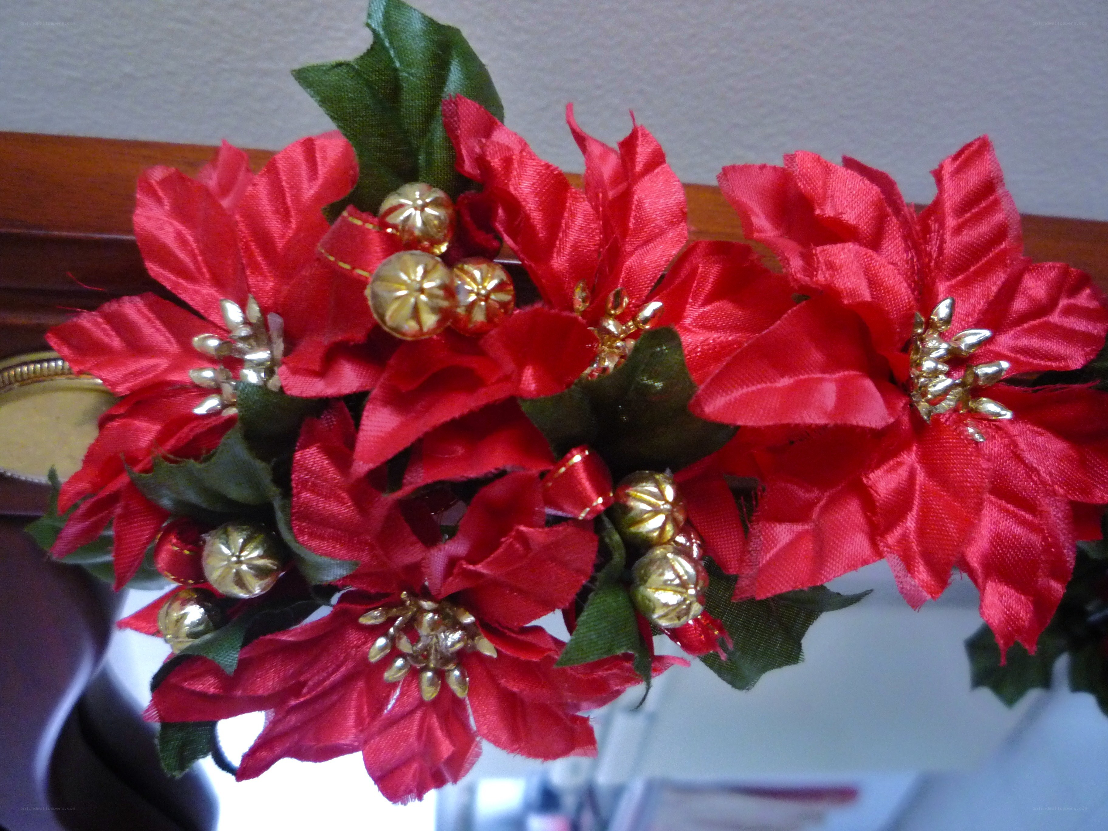 red poinsettia decoration