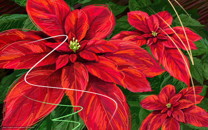 Red Poinsettia Flowers — Vibrant, Digital Art