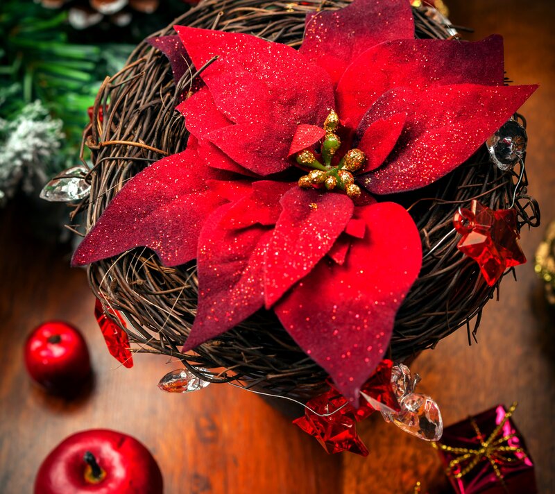 Red Poinsettia in Basket