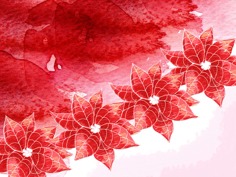 Red poinsettia watercolor illustration