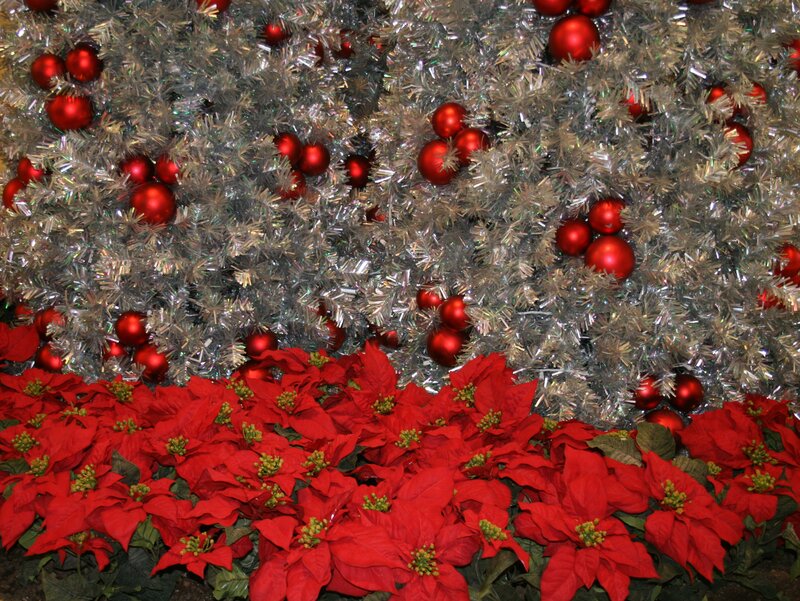Red Poinsettias and Ornaments