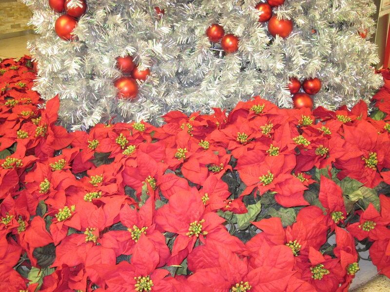 Red Poinsettias and Silver Tree