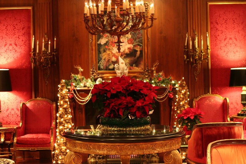 Red Poinsettias on Table