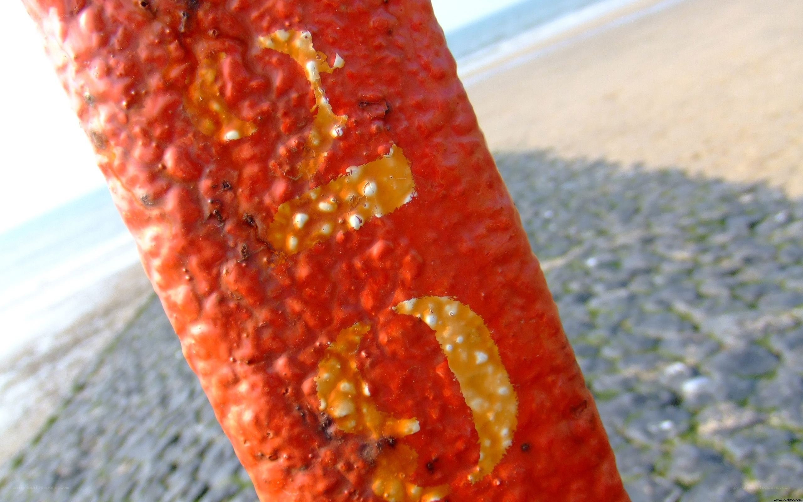 Red pole with barnacles on beach