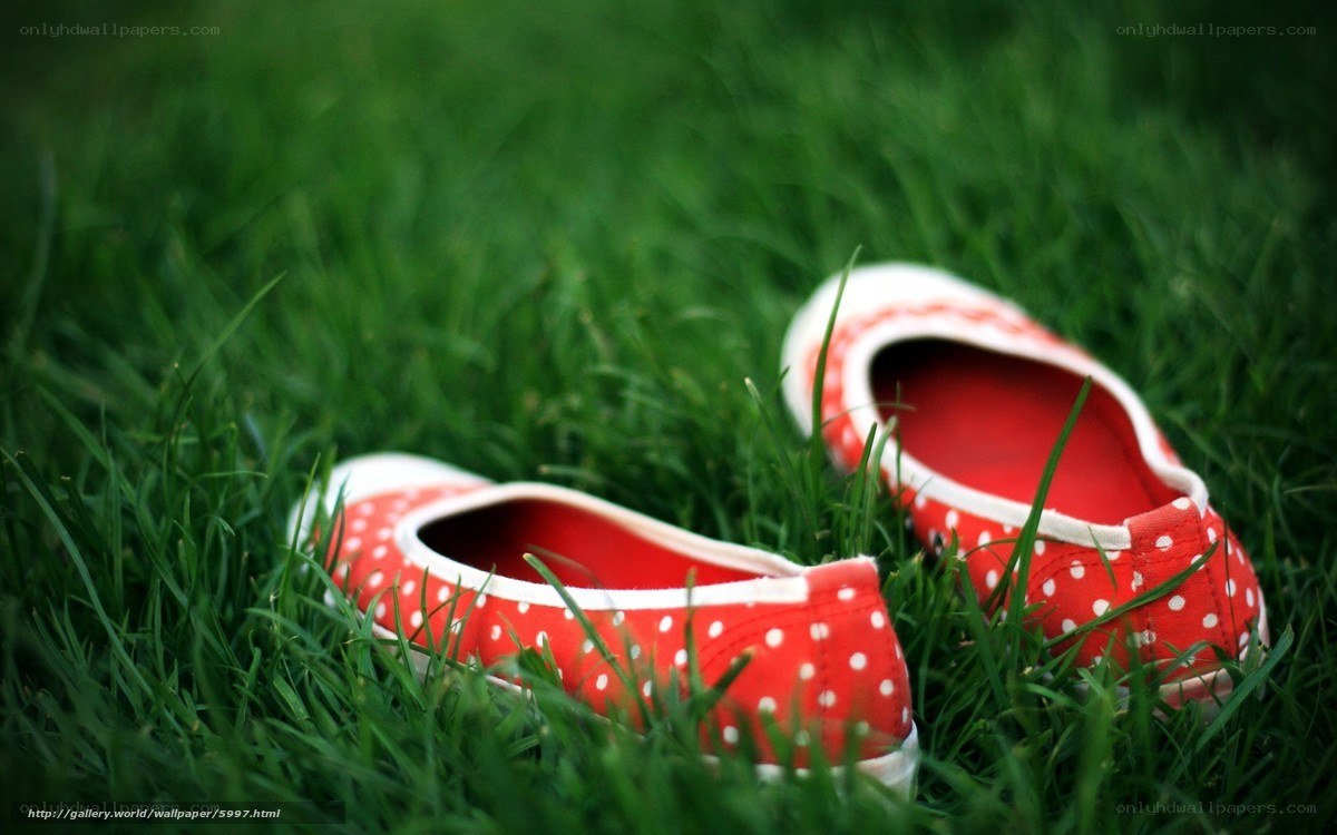 red polka dot shoes on grass