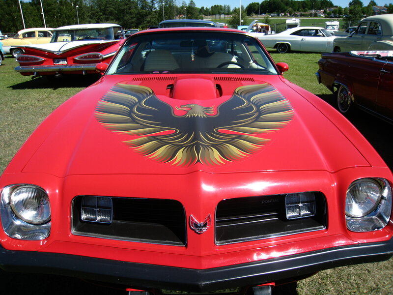 Red Pontiac Firebird — Showcase