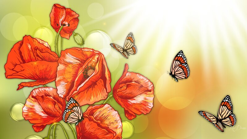 Red Poppies and Butterflies — Orange
