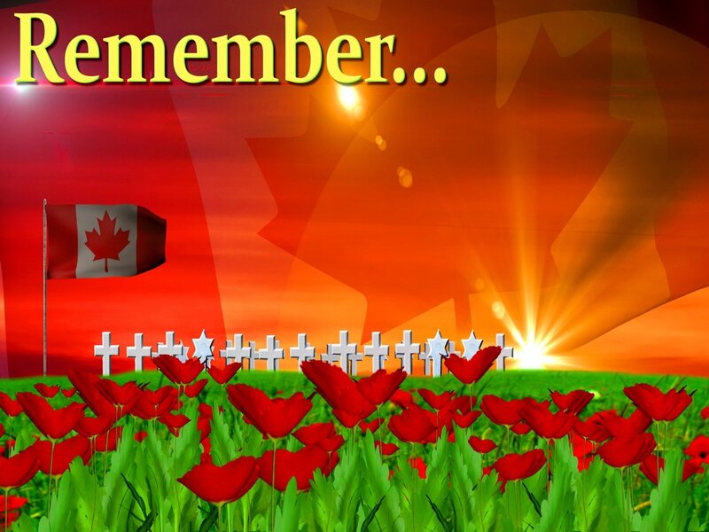 Red Poppies and Crosses