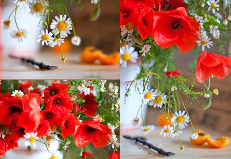 Red Poppies and Daisies — Calm, Spring
