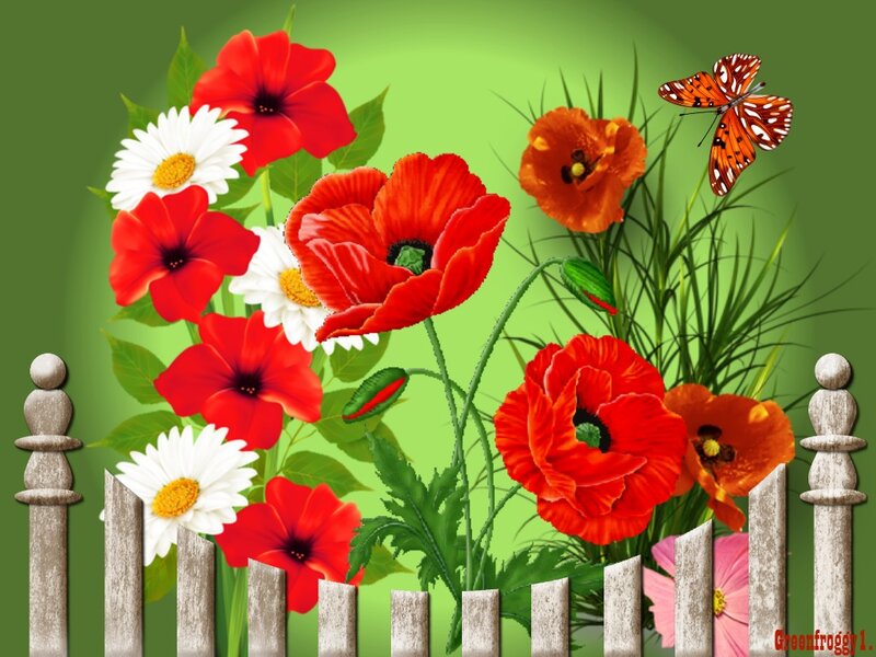 Red Poppies and Daisies — Green, Cheerful