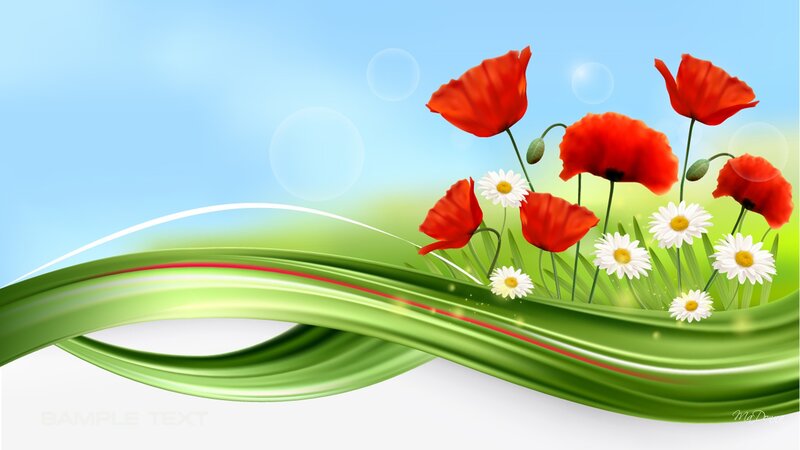 Red Poppies and Daisies — Green