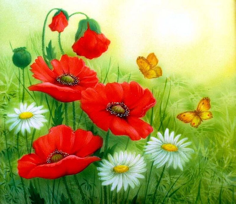 Red Poppies and Daisies — Serene, Afternoon, Painting