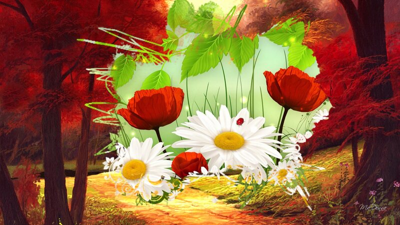 Red Poppies and Daisies — Serene, Autumn