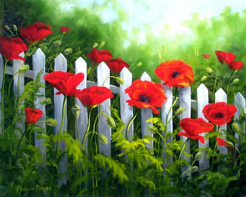Red Poppies by Fence