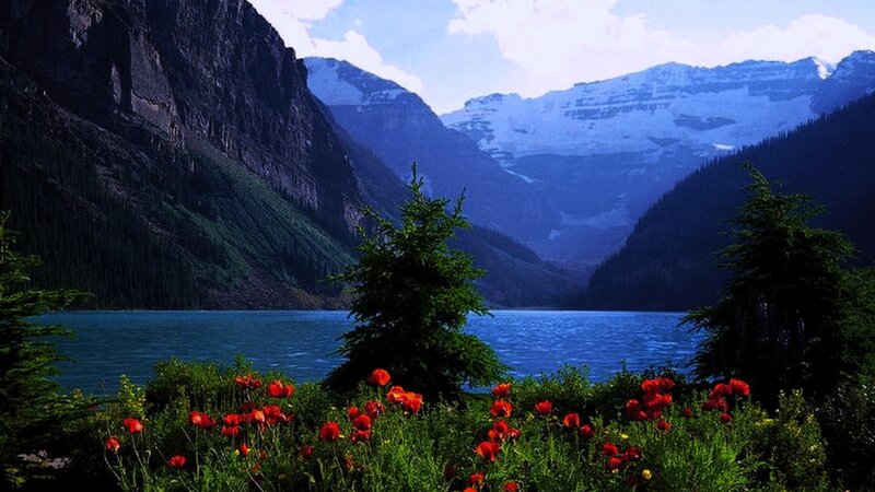 Red Poppies by Lake — Blue, Serene, Summer, Photograph