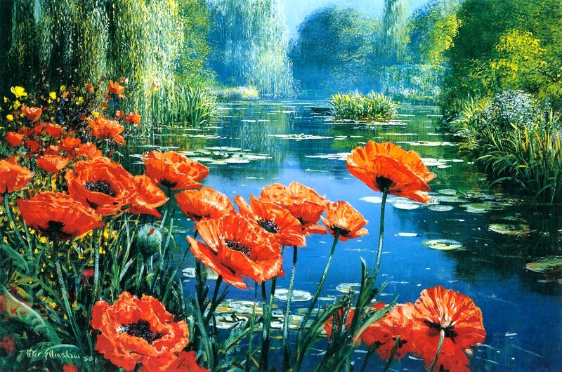 Red Poppies by Pond — Orange