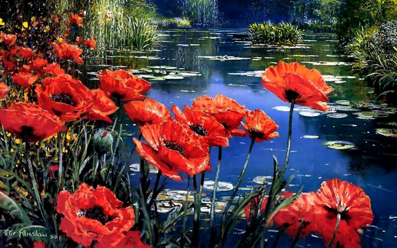 Red Poppies by Pond — Serene, Afternoon, Painting