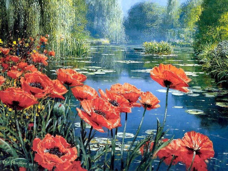 Red Poppies by Pond — Serene, Afternoon