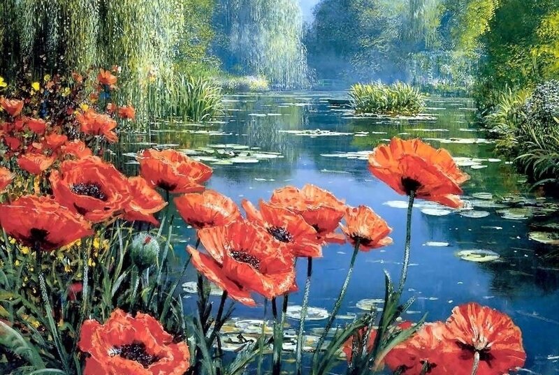 Red Poppies by Pond — Serene
