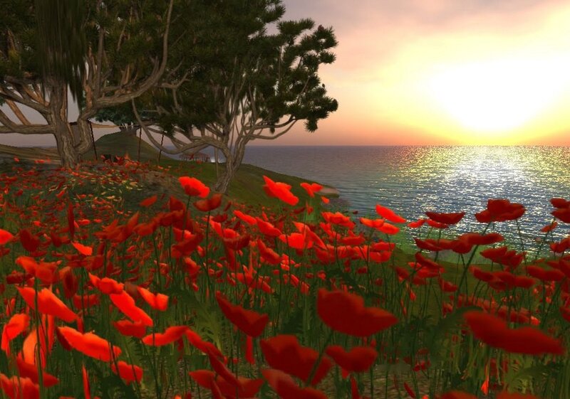 Red Poppies by the Sea — Serene, Sunset