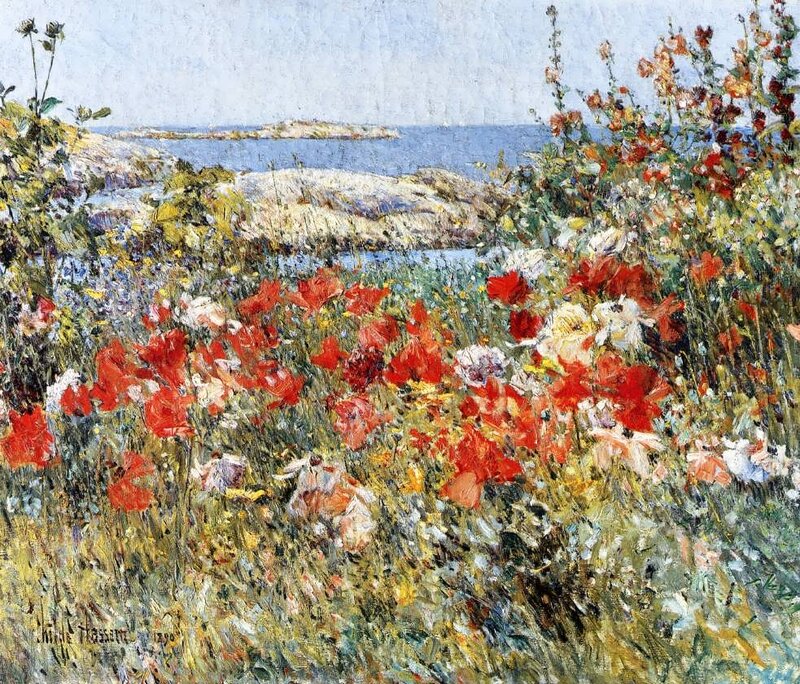 Red Poppies by the Sea — Serene