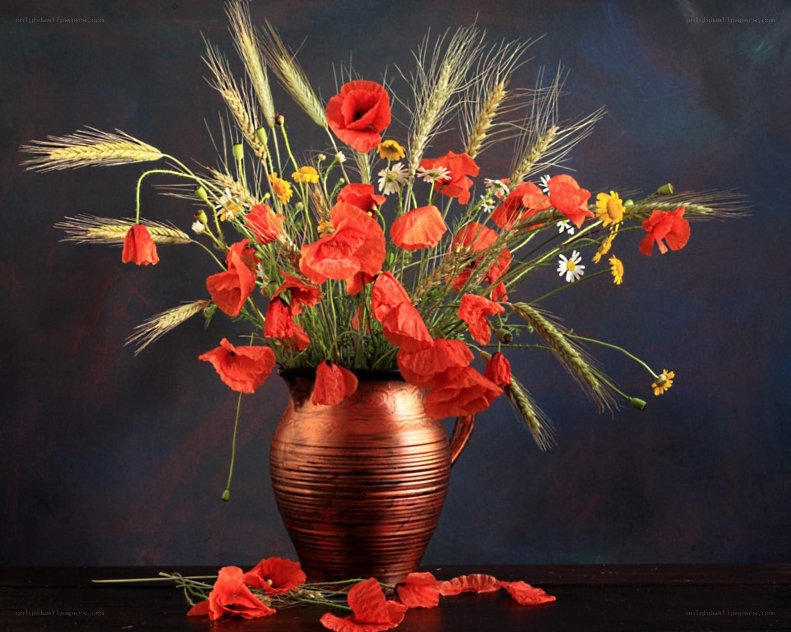Red poppies in a copper vase
