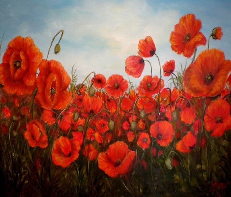 Red poppies in a field