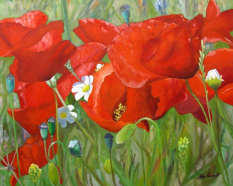 Red poppies in a meadow