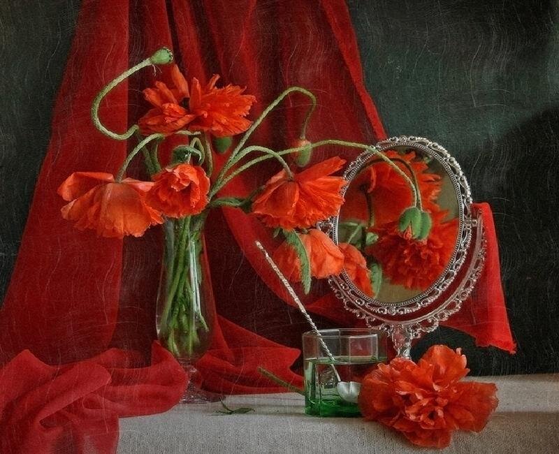 Red poppies in a still life