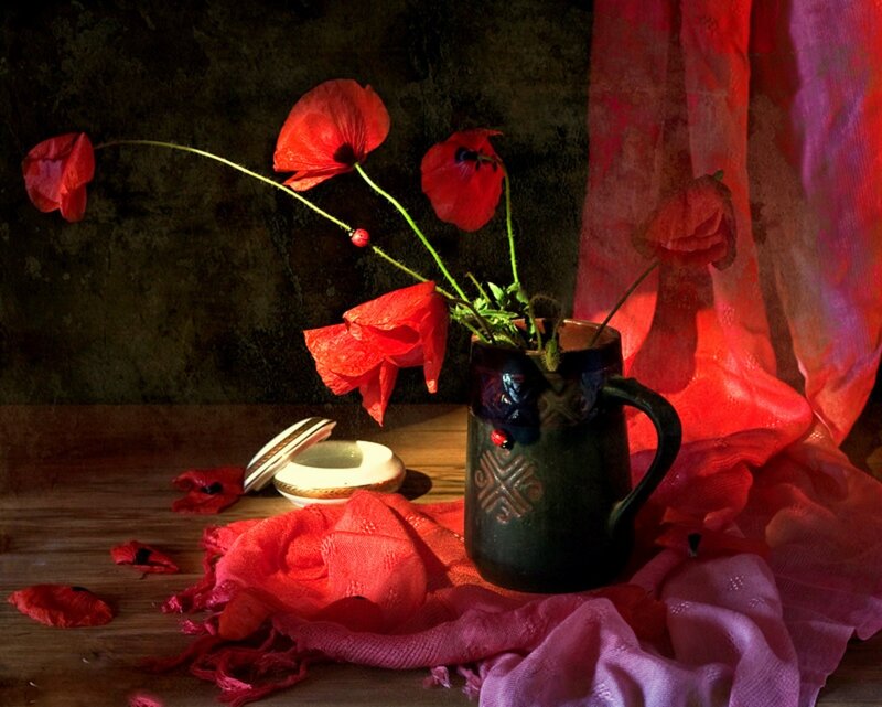 Red Poppies in a Vase — Dramatic, Photograph