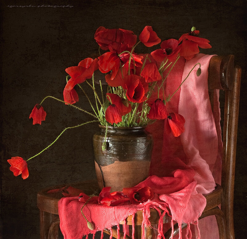 Red Poppies in a Vase — Dramatic