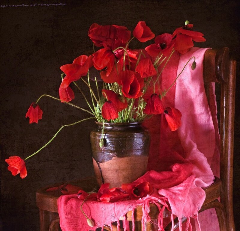Red Poppies in a Vase