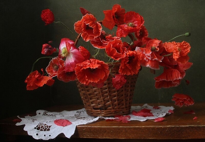 Red Poppies in Basket — Dramatic, Photograph