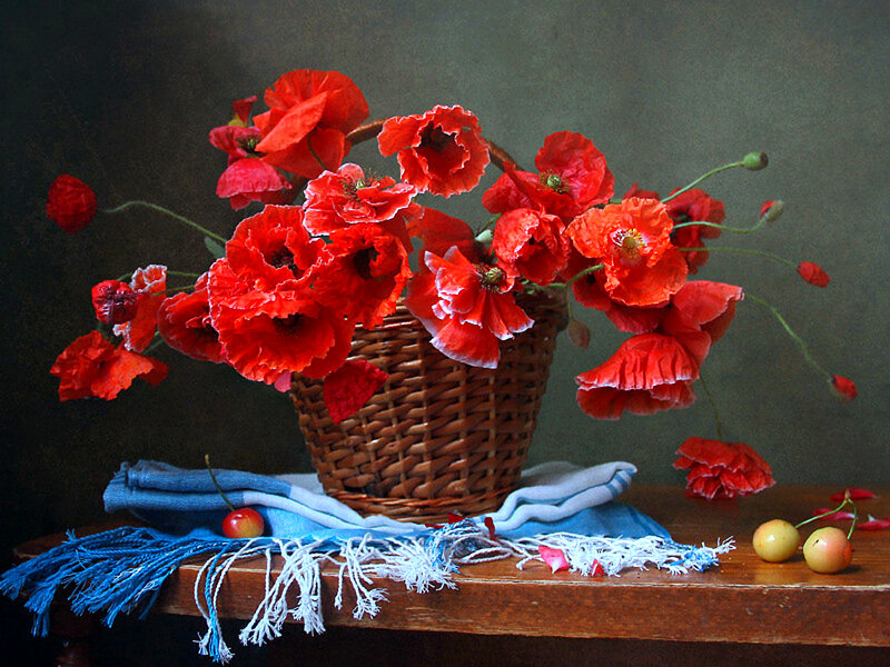 Red Poppies in Basket — Dramatic