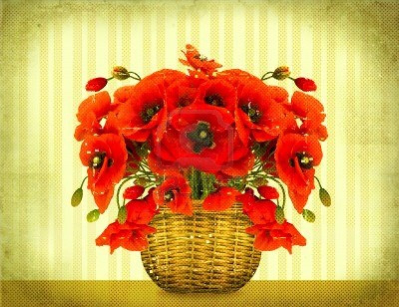 Red Poppies in Basket