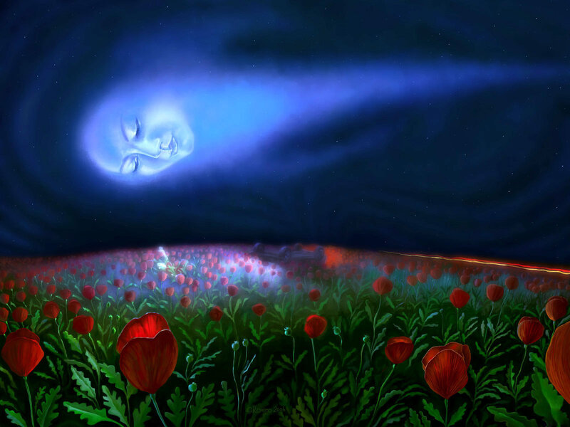 Red Poppies in Field — Blue