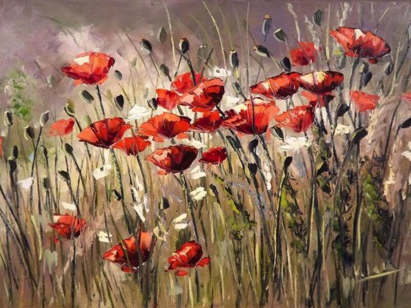 Red Poppies in Field — Calm
