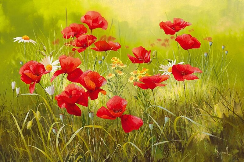 Red Poppies in Field — Serene, Afternoon, Painting, Daisies