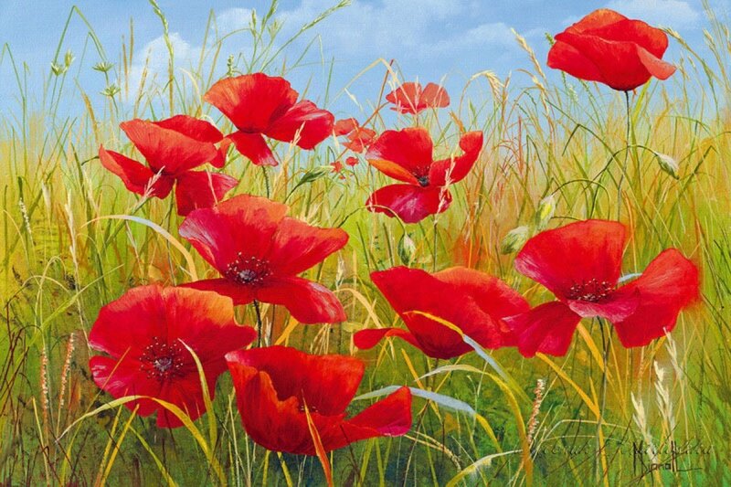Red Poppies in Field — Serene, Afternoon, Painting, Grass, Sky