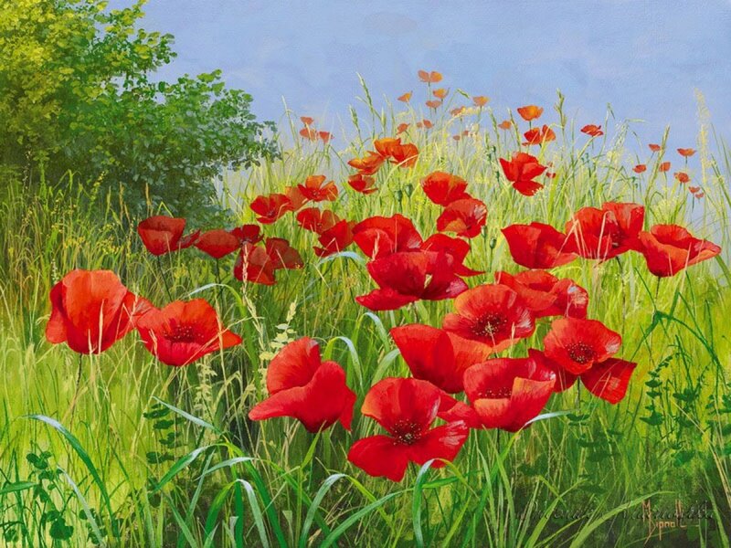 Red Poppies in Field — Serene, Afternoon, Painting, Grass