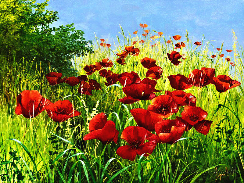 Red Poppies in Field — Serene, Afternoon, Painting, Grass, Trees