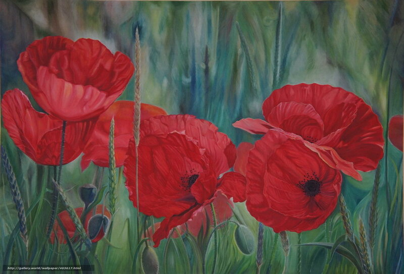 Red Poppies in Field — Serene, Afternoon, Painting, Grass, Wheat