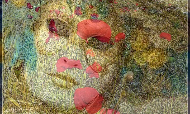 Red Poppies in Field — Serene, Summer, Digital Art