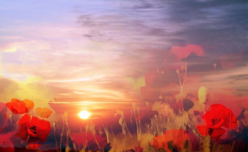 Red Poppies in Field — Serene, Sunset, Digital Art