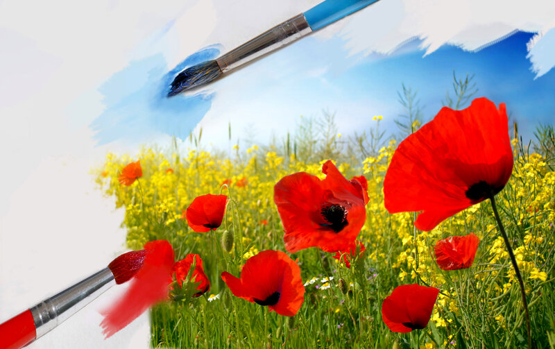 Red Poppies in Field — Vibrant, Spring