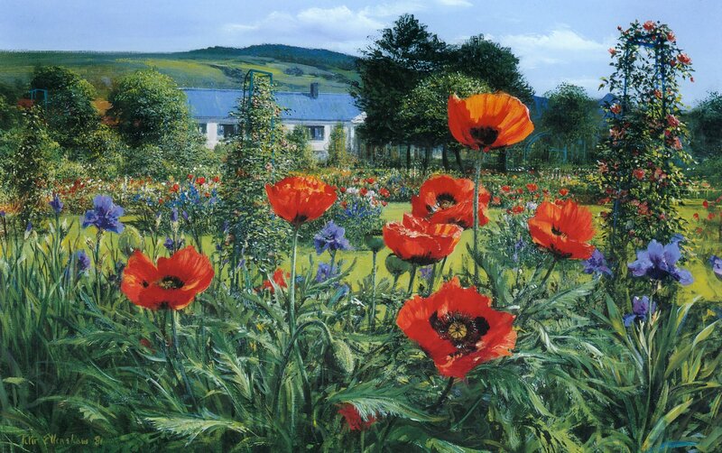 Red Poppies in Garden — Serene