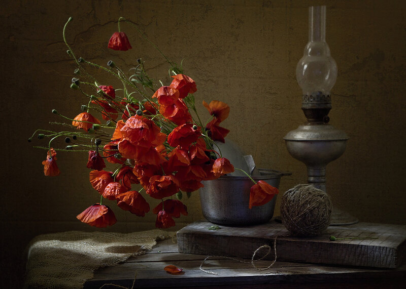 Red Poppies in Metal Pot