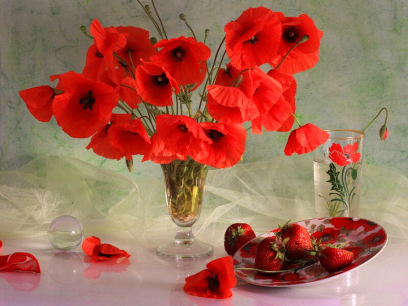Red Poppies in Vase — Calm, Photograph