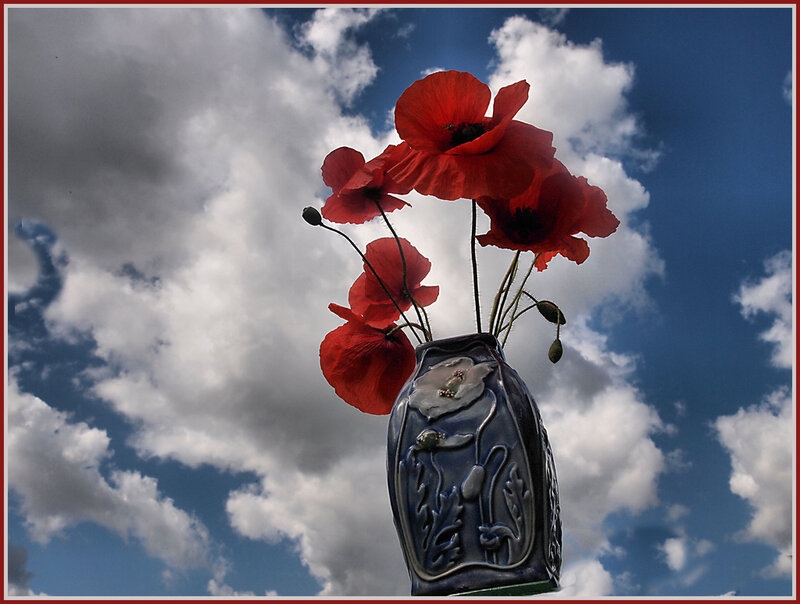Red Poppies in Vase — Dramatic, Afternoon